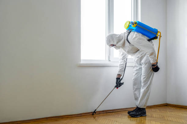 Best Emergency Pest Control  in Palmyra, MO