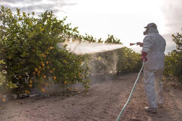 Best Pest Control Near Me in Palmyra, MO