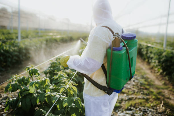 Best Local Pest Control Services  in Palmyra, MO